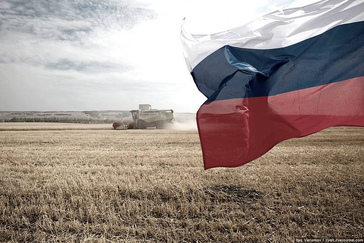 Народное знамя
